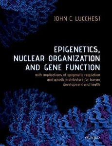 Epigenetics, Nuclear Organization & Gene Function: With Implications Of Epigenetic Regulation And Genetic Architecture For Human Development And Health.